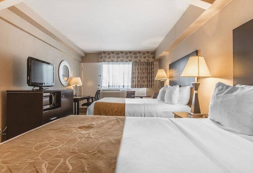 スタンダードルーム, Comfort Suites Downtown