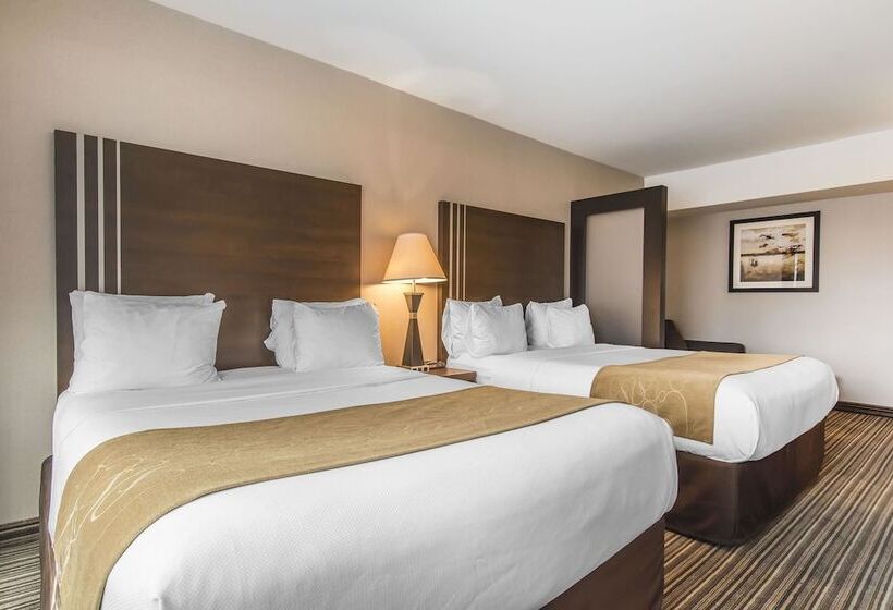 スタンダードルーム, Comfort Suites Downtown