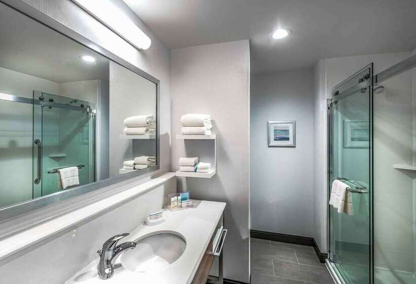 استودیو استاندارد با تخت کینگ, Hampton Inn & Suites By Hilton Toronto Downtown