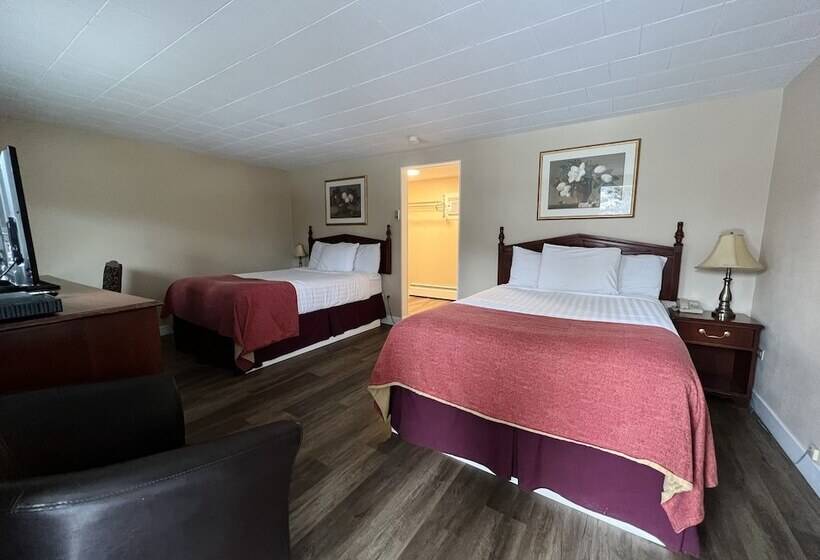 Номер Стандарт 2 Двуспальные Кровати, Villa Motel