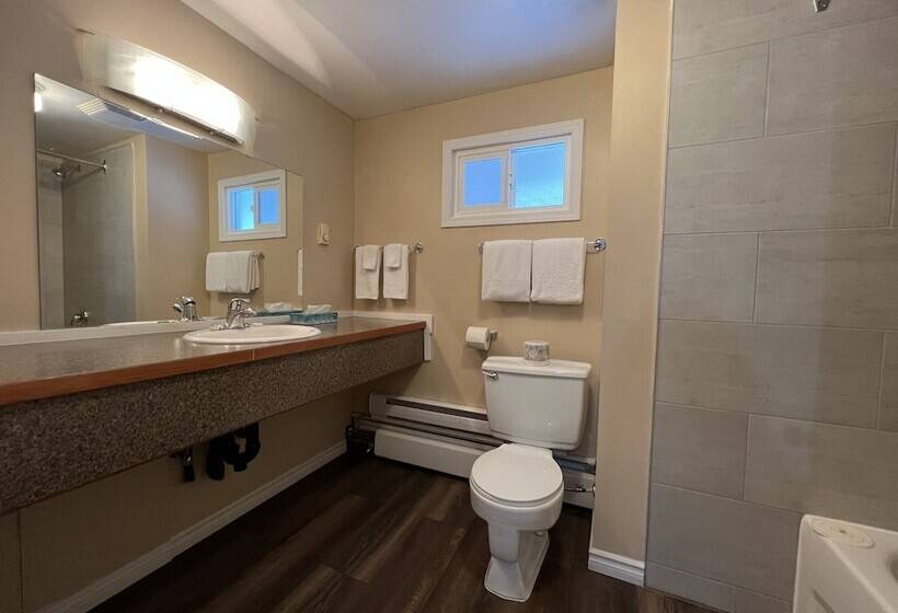 Номер Стандарт 2 Двуспальные Кровати, Villa Motel