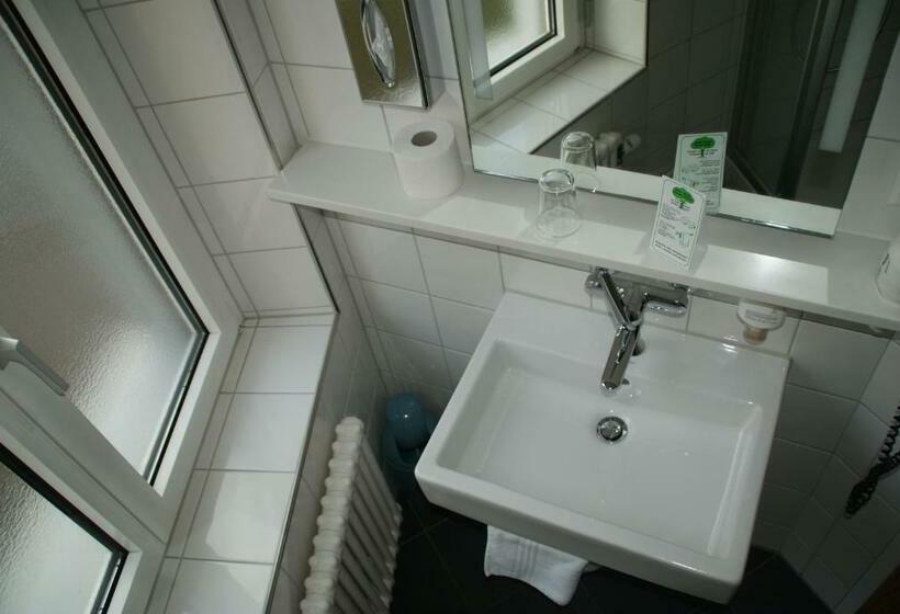 Standard Single Room, Bristol Zurich