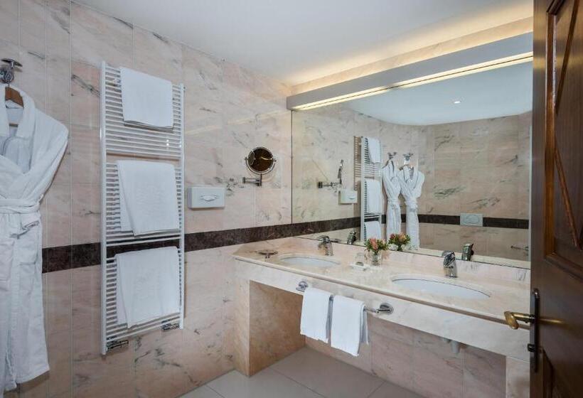 两卧家庭套房, Villa Orselina  Small Luxury