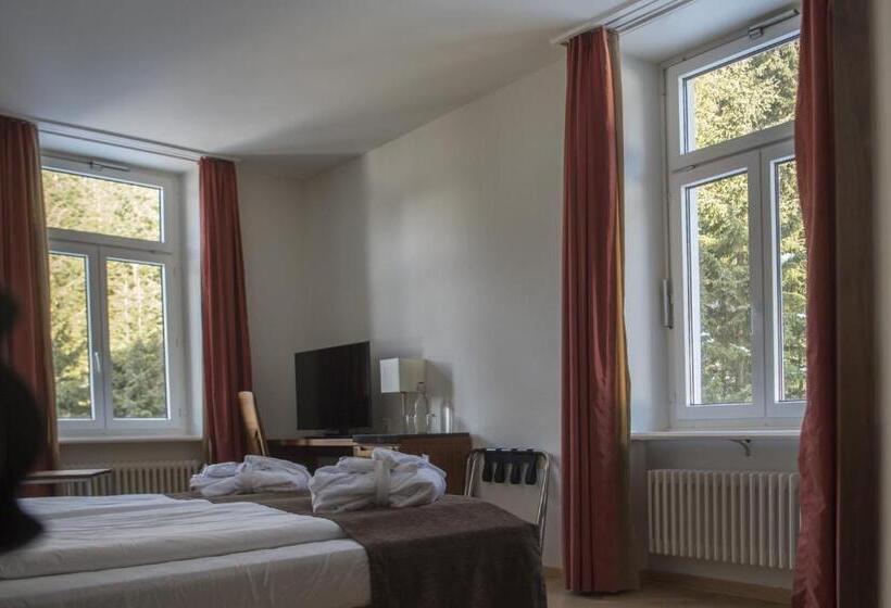 اتاق استاندارد با چشم‌انداز, Waldhotel & Spa Davos   For Body & Soul