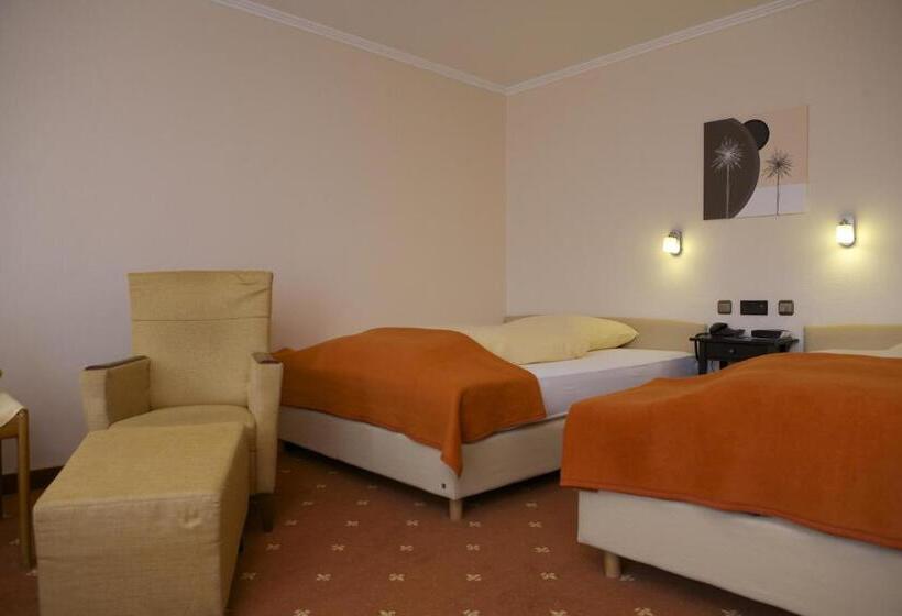 Номер Стандарт, Vitalhotel Ascona