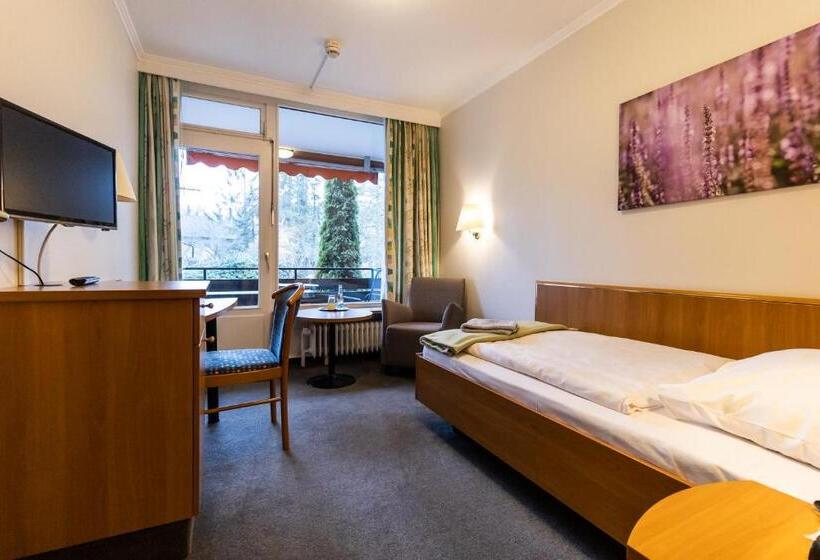 싱글 기본룸, Vitalhotel Ascona