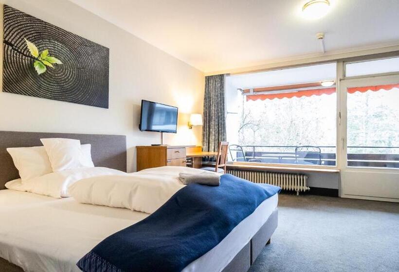 Номер Deluxe Одноместный, Vitalhotel Ascona