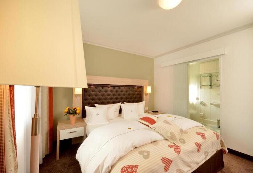 Номер Стандарт, Lohmann S Romantik Hotel Gravenberg