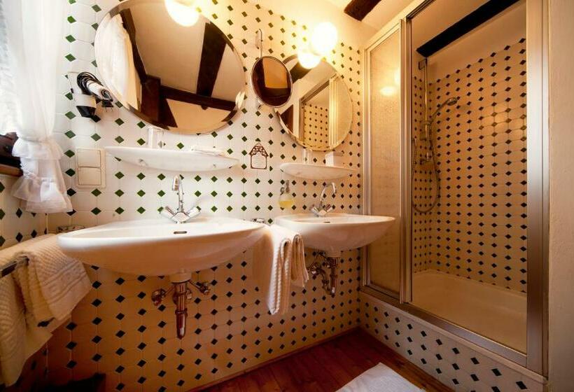 Номер Стандарт Индивидуальный, Romantik Hotel Alte Vogtei