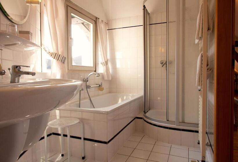 Номер Deluxe Одноместный, Romantik Hotel Alte Vogtei