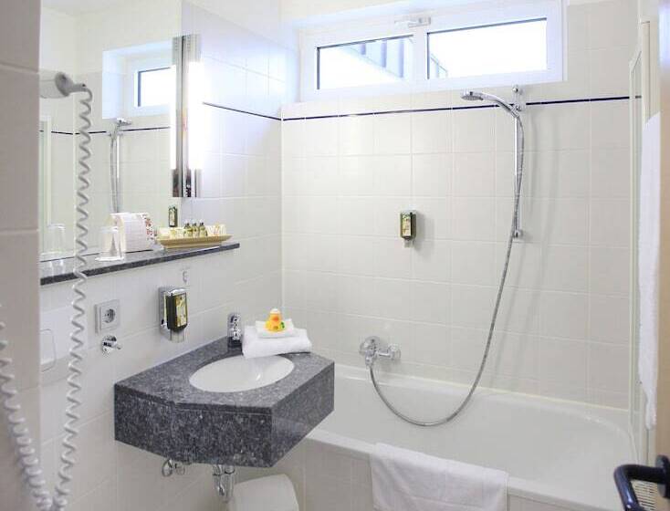 اتاق اجرایی, Best Western Plus Hotel Steinsgarten