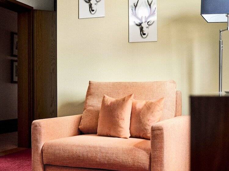 Comfort Single Room, Hirsch
