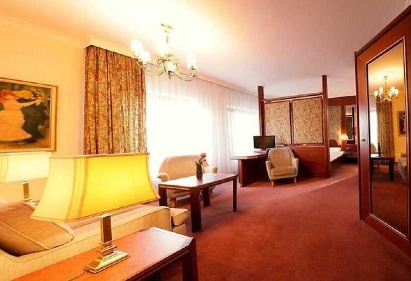 Номер Стандарт, Trip Inn Klee Am Park Wiesbaden