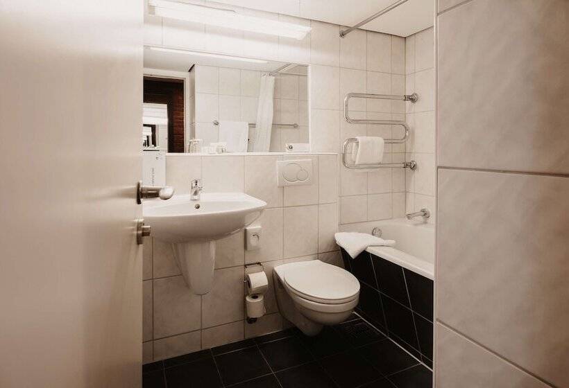 수피리어 룸, Tulip Inn Ludwigshafen City