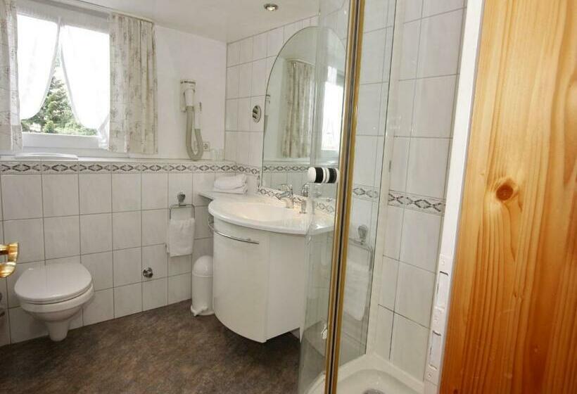 Номер Стандарт с Балконом, Schwarzwaldgasthof Hotel Schwanen