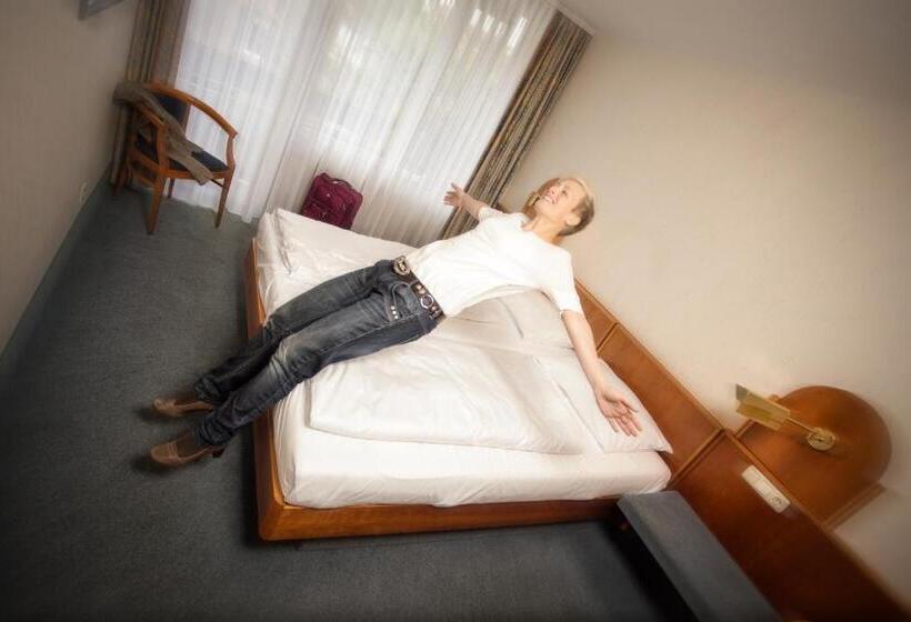 Номер Стандарт с Балконом, Altenburgblick