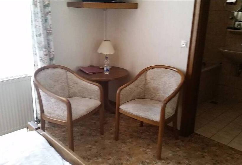 Люкс, Hostel Zum Löwen