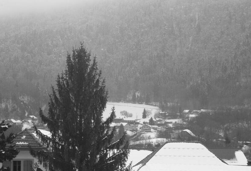 Номер Стандарт, Accueil Savoyard