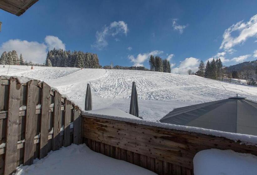 اتاق راحتی, Chalet Hotel Crychar