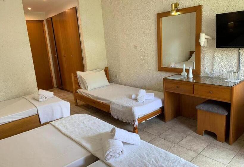 Номер Стандарт Трехместный, Sariza Spring