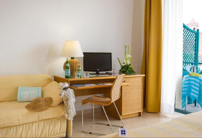 Номер Стандарт, Terminal   Caroli Hotels