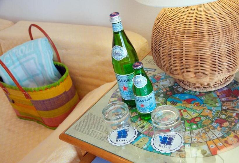 Четырехместный Номер Стандарт, Terminal   Caroli Hotels