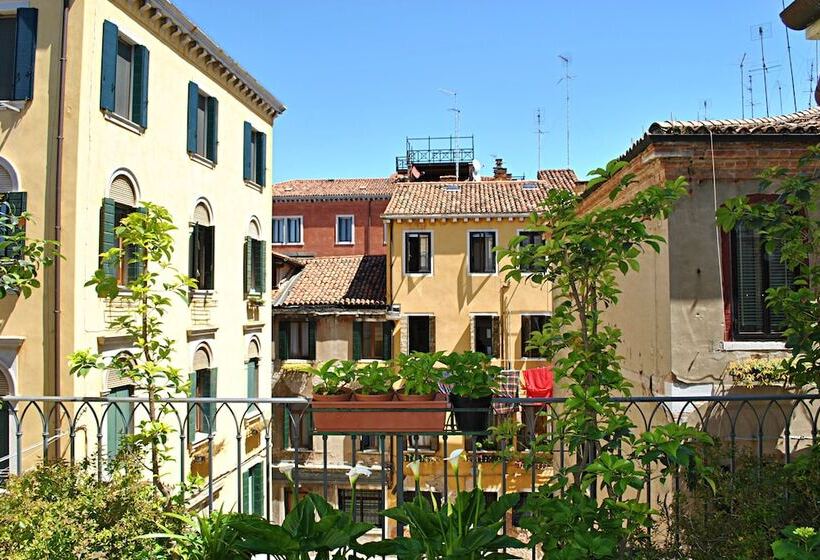اتاق سوپریور, Carlton Capri