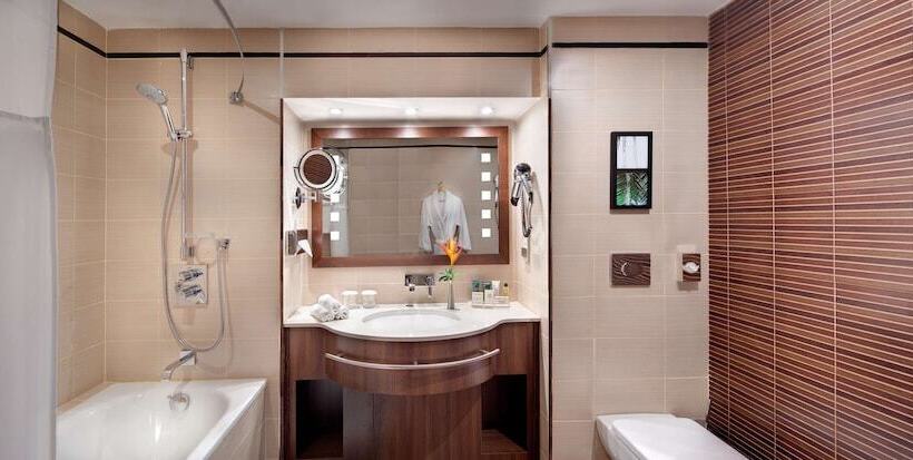 غرفة تنفيذية, Hilton Yaounde