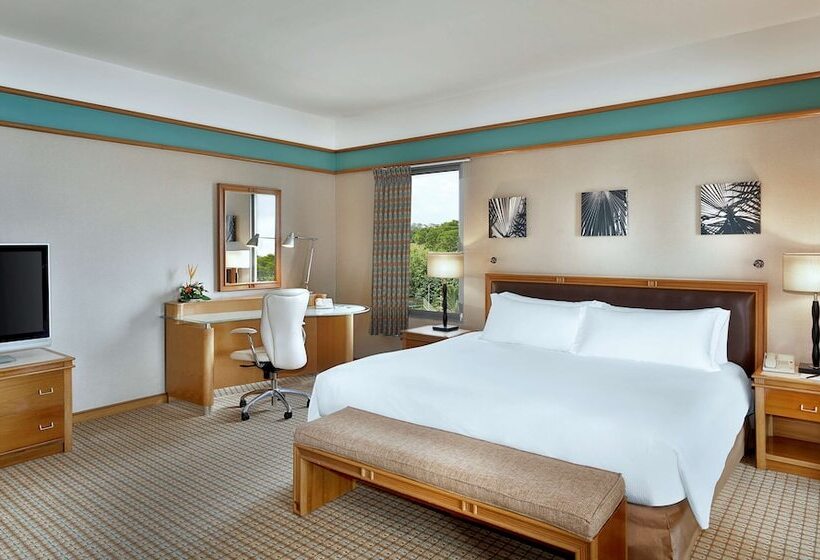 اتاق اجرایی, Hilton Yaounde