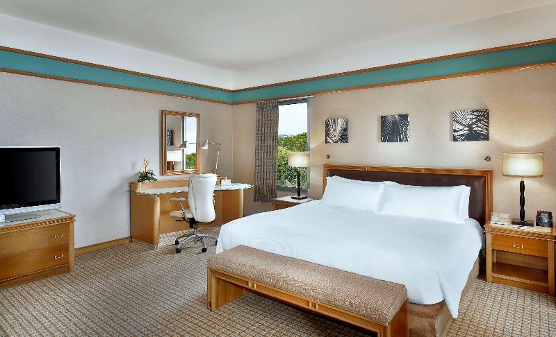 غرفة إدارية سرير كينج, Hilton Yaounde