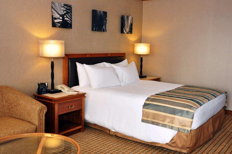 اتاق استاندارد با تخت بزرگ, Hilton Yaounde