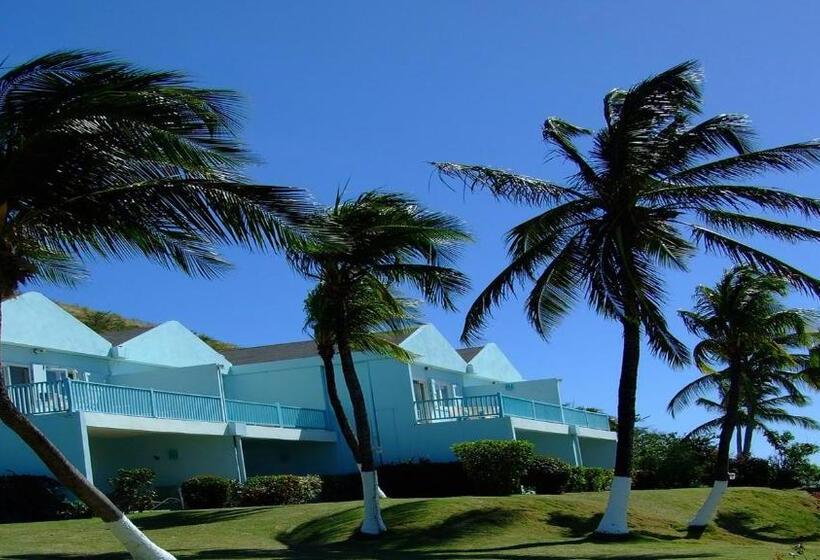 اتاق استاندارد با چشم‌انداز دریا, Timothy Beach Resort