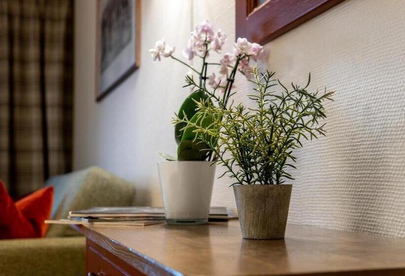 Семейный Номер, Birkebeineren Hotel & Apartments
