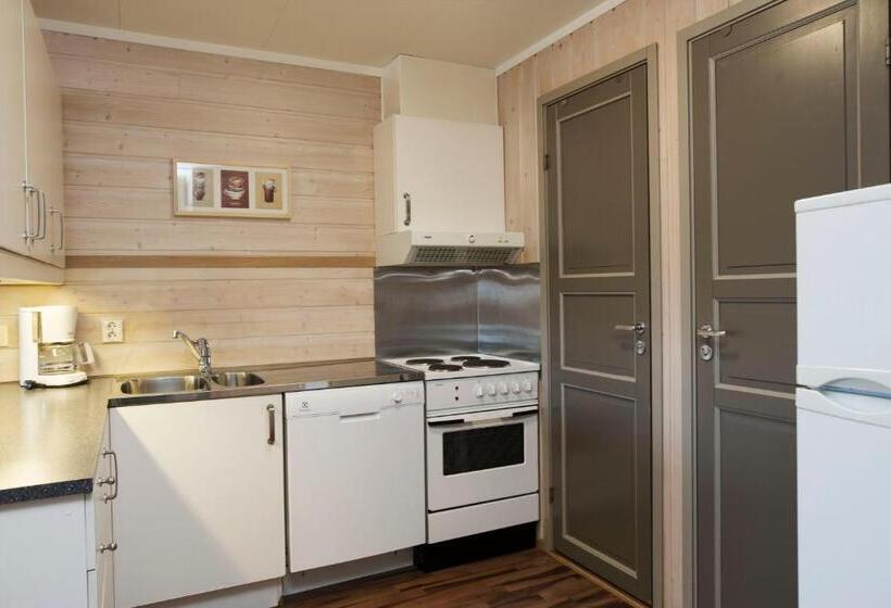 Апартаменты 1 Спальня, Birkebeineren Hotel & Apartments