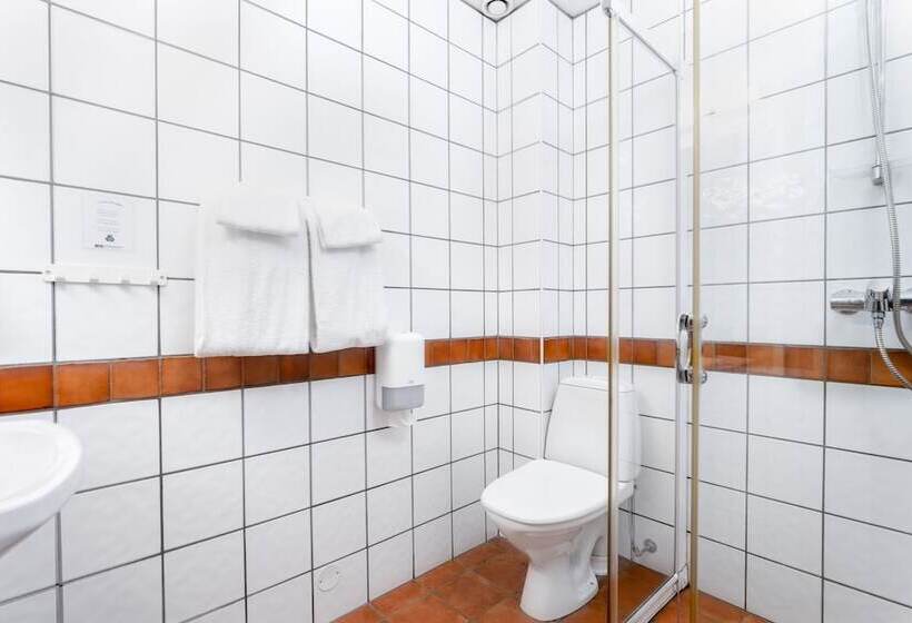 Номер Deluxe, Birkebeineren Hotel & Apartments
