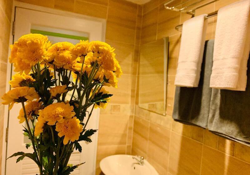 Номер Стандарт, Novotel Maastricht