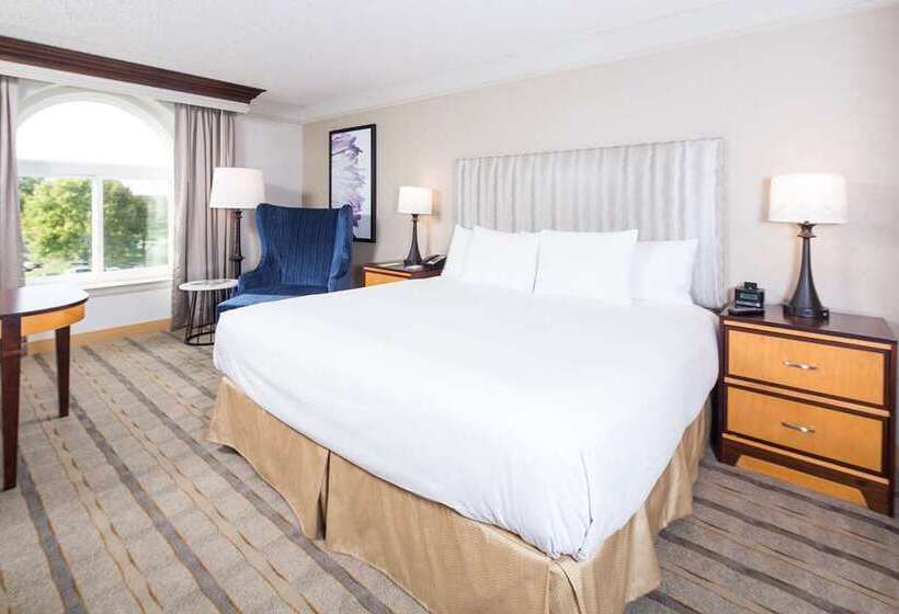 Habitació Deluxe, Hilton Arlington