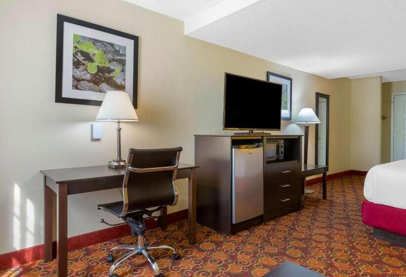 Номер Стандарт Кровать Кинг Адаптированный для Инвалидов, Best Western Benton Inn