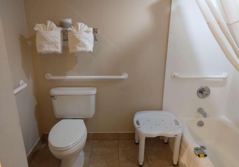 Номер Стандарт, Best Western Canton Inn