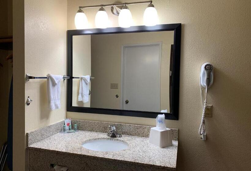 스탠다드 룸 킹사이즈 침대, Best Western Desert Oasis