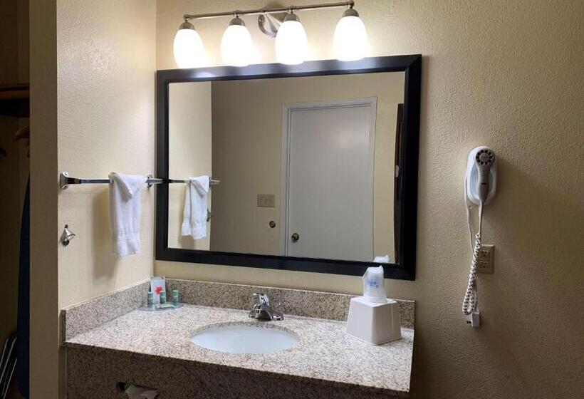 스탠다드 룸 킹사이즈 침대, Best Western Desert Oasis