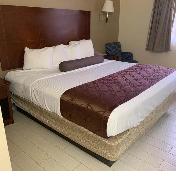 스탠다드 룸 킹사이즈 침대, Best Western Desert Oasis