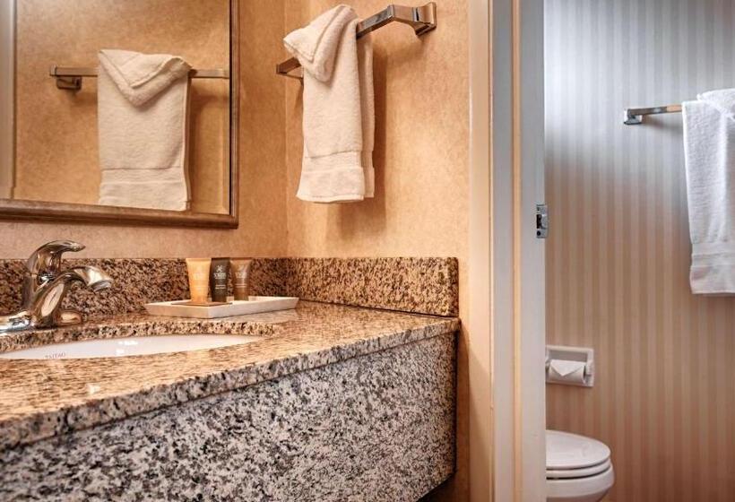 스탠다드 룸 킹사이즈 침대, Best Western Garden Inn