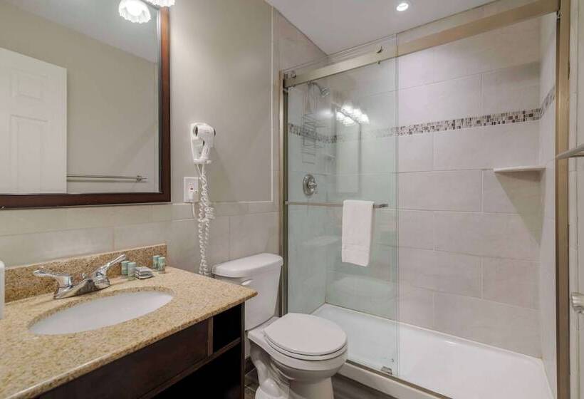 סוויטה, Best Western Of Lake George