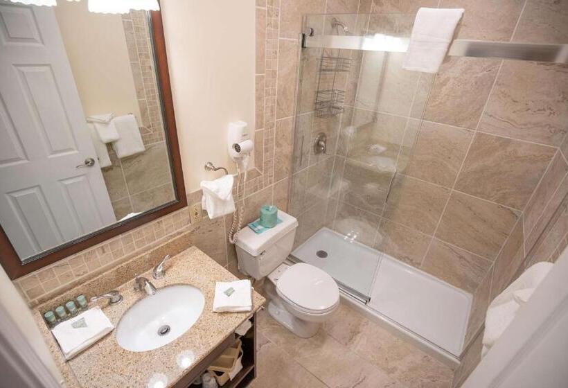 חדר סטנדרט עם מיטת קינג, Best Western Of Lake George