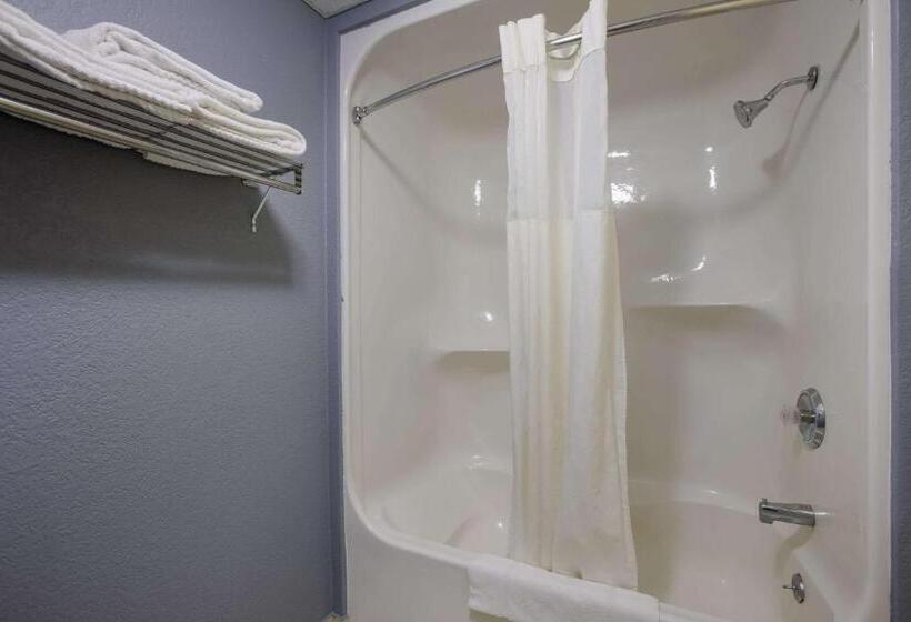 스탠다드 룸, Quality Inn & Suites Big Rapids Near University