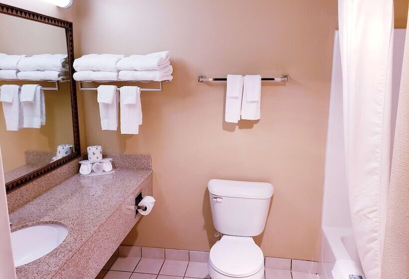 Люкс, Surestay Plus Hotel By Best Western Black River Falls