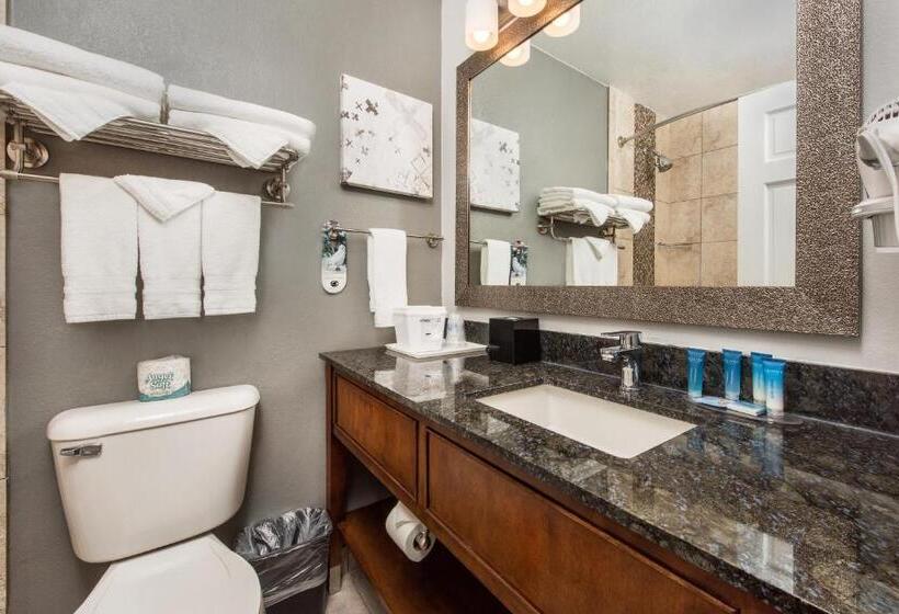 Номер Стандарт Кровать Кинг Адаптированный для Инвалидов, Best Western Plus Milwaukee West