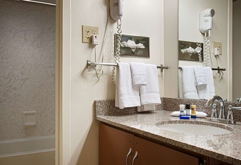 Номер Стандарт Двуспальная Кровать, Best Western State Fair Inn
