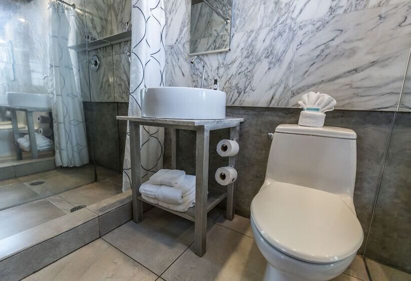 带2个双人床的标准工作室, Chesterfield Hotel & Suites